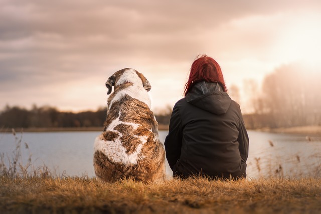 Pet Trust Dog and Woman